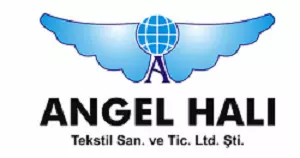 ANGEL HALI